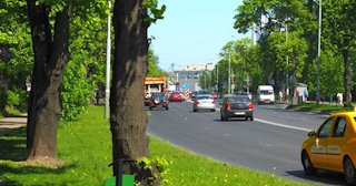 Посадка деревьев и кустарников в Прохладном — стоимость от 1300 руб.